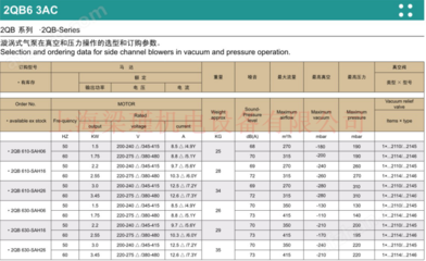 2QB610-SAH26-旋渦氣泵,環(huán)形高壓風機工廠現(xiàn)貨